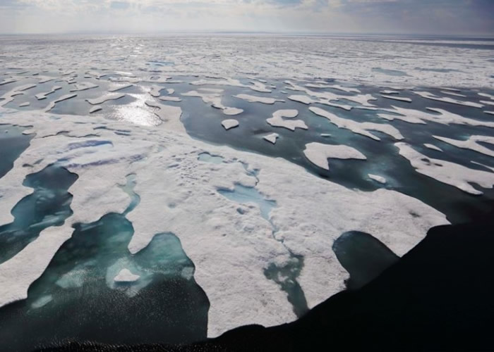 北冰洋冰块内微塑料量破纪录 海洋生态势将受危害