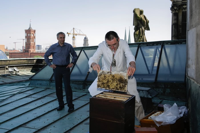 �¹�����֯���������ڽ�������̨����԰����Сľ�ݣ����۷�������