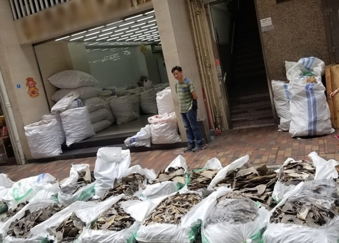 海洋牧人发现大批鱼翅放在香港街头晒干。