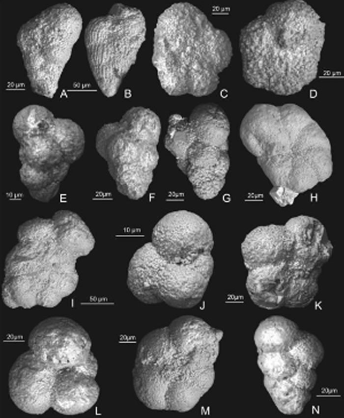 ɿСײγɵĻɽڼΪҡ