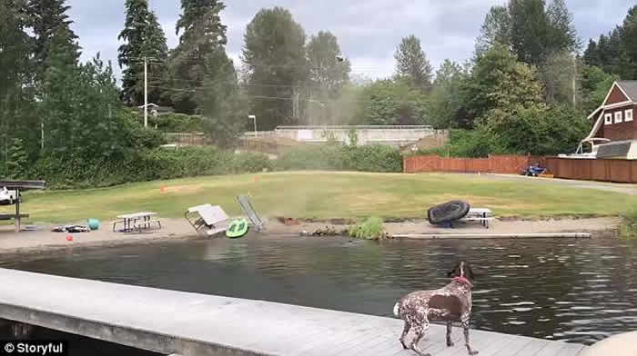 美国华盛顿瑟马米什湖“尘卷风”来袭吓坏小狗