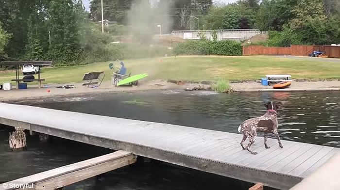 美国华盛顿瑟马米什湖“尘卷风”来袭吓坏小狗