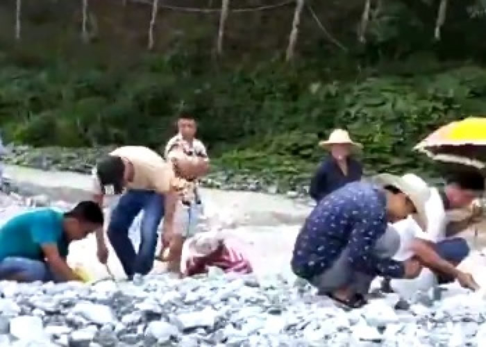 大批村民闻讯后赶到捡拾金矿石。
