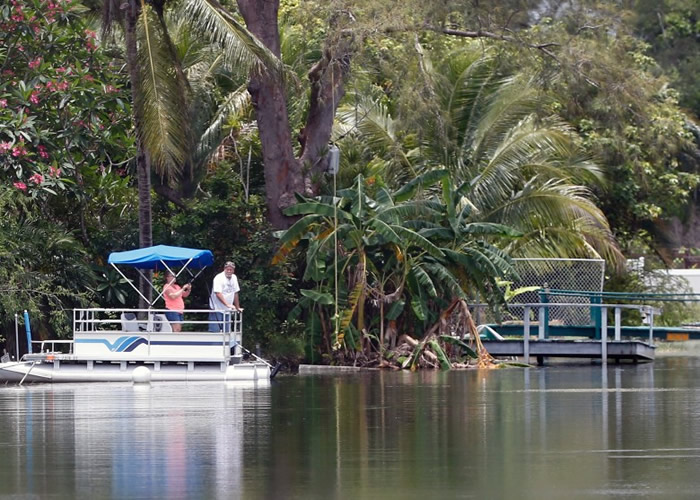 事发现场不时有鳄鱼出没。