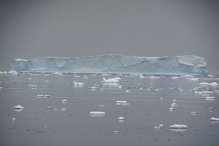 近年南极冰川融化速度急剧加快