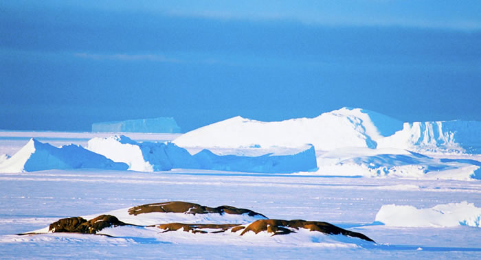 ŷ�޺���֣��ϼ�����2012����2017�����ʧ�˳���һ���ڶֱ�