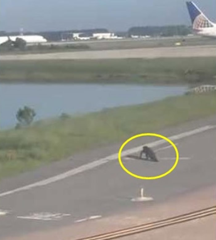 ������������ݰ�������ʻ��������ܵ�ɢ��