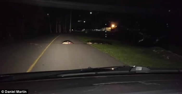 �����Ͽ��������ݹ�·һ�����������Ѫ���ܵĶ���ʬ��ҧס���ˮ��