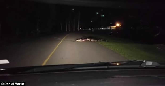 �����Ͽ��������ݹ�·һ�����������Ѫ���ܵĶ���ʬ��ҧס���ˮ��