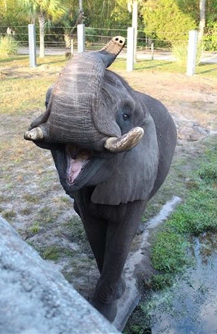 ������������ݶ���԰һͷ�������˶����ܿ�ѷ���λ�ׯ԰���Ĵ�������