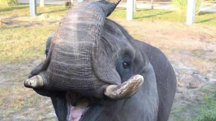 ������������ݶ���԰һͷ�������˶����ܿ�ѷ���λ�ׯ԰���Ĵ�������