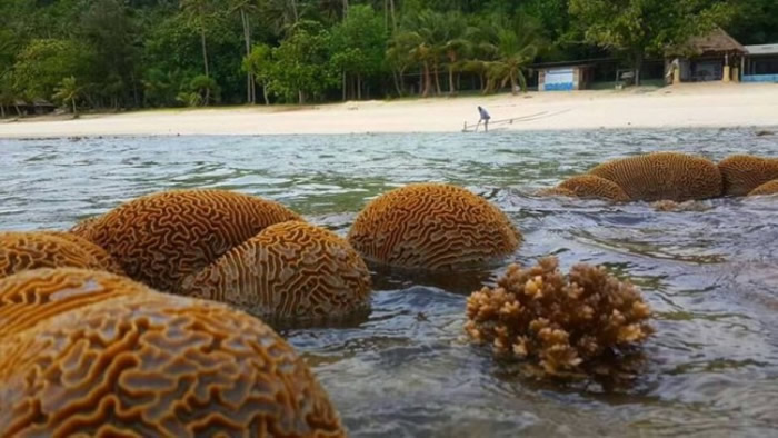 ǱˮʤصҵͣӪҵɺ̬