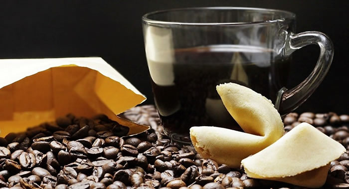 �о����ֿ������������������