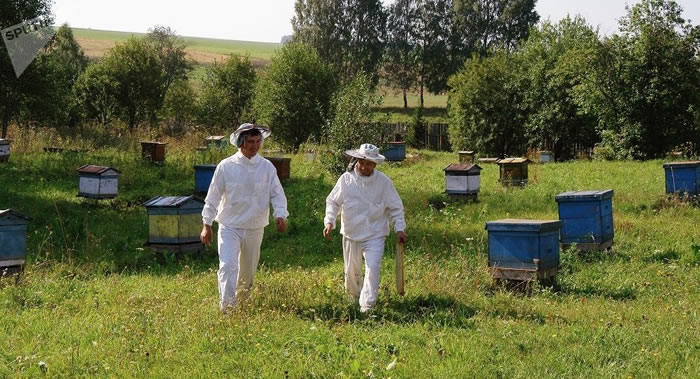 ��Functional Ecology������̬ѧ�ҽҿ��۷��������Ҫԭ��