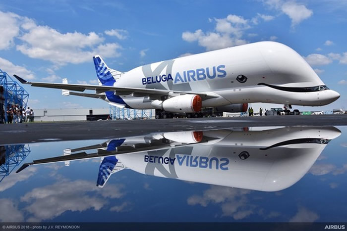 аʿΪһ׾XLBelugaXL۾΢Ц