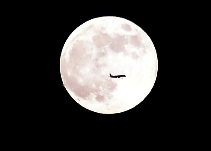 ��ݮ�����߹Ҽ���ҹ�ա�