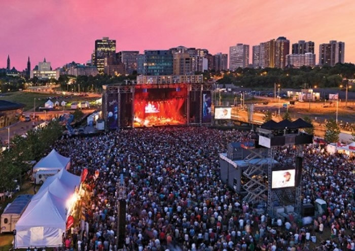 加拿大稀有鸟类“双领鸻”筑巢 盛大音乐节“Bluesfest”舞台搭建一度停工