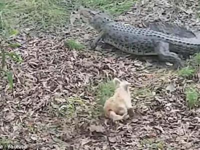 1_201807011151441uuCm.thumb.jpg