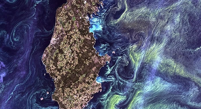 BiogeoscienceڿѧԤԲ޵ĺ̬