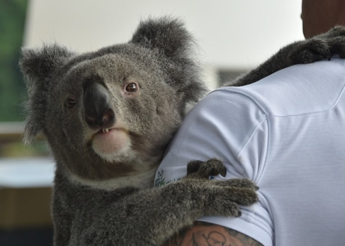 �о���������ǿ���ܵ���������