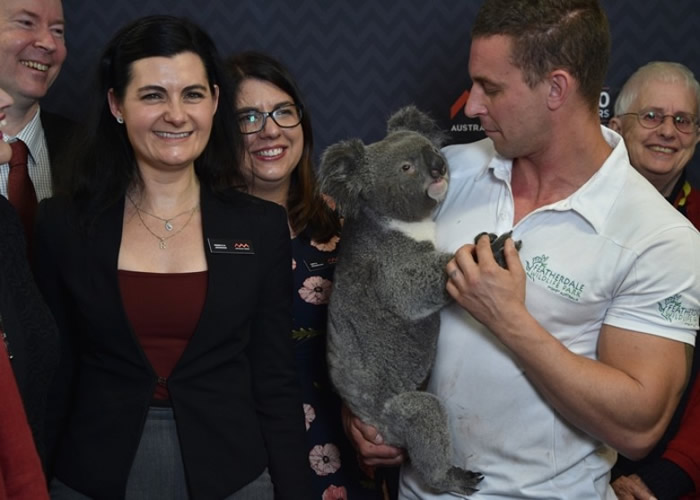 ��ѧ���ڷ����о�������ϱ������ܡ�