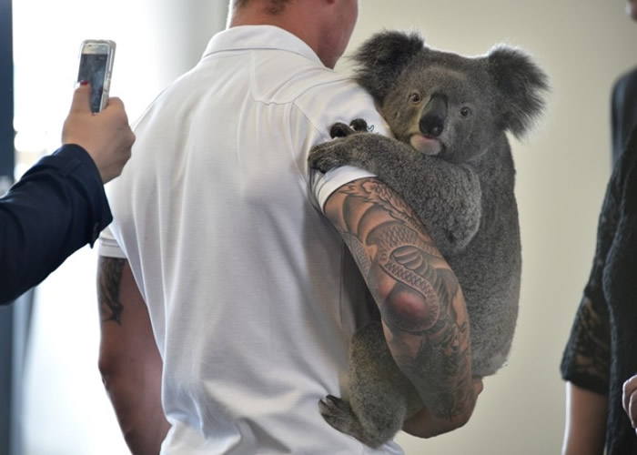 ���ܵĻ��������������໹Ҫ�Ӵ�