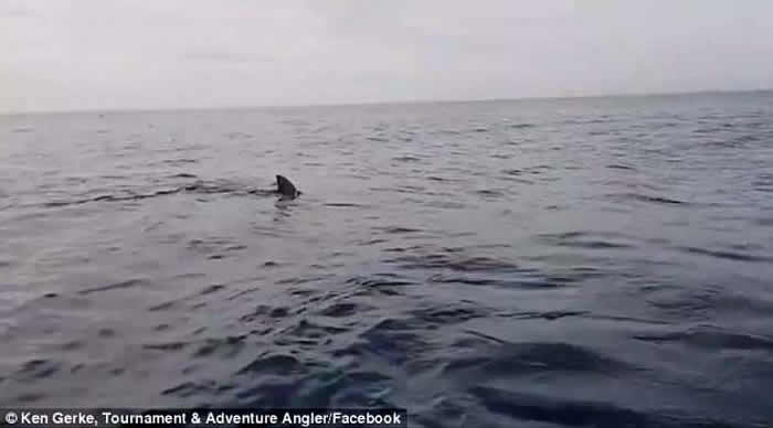 ���޵����޾���ʹ����β�� ������Ž�ˮ���ĵ����Ƭ��