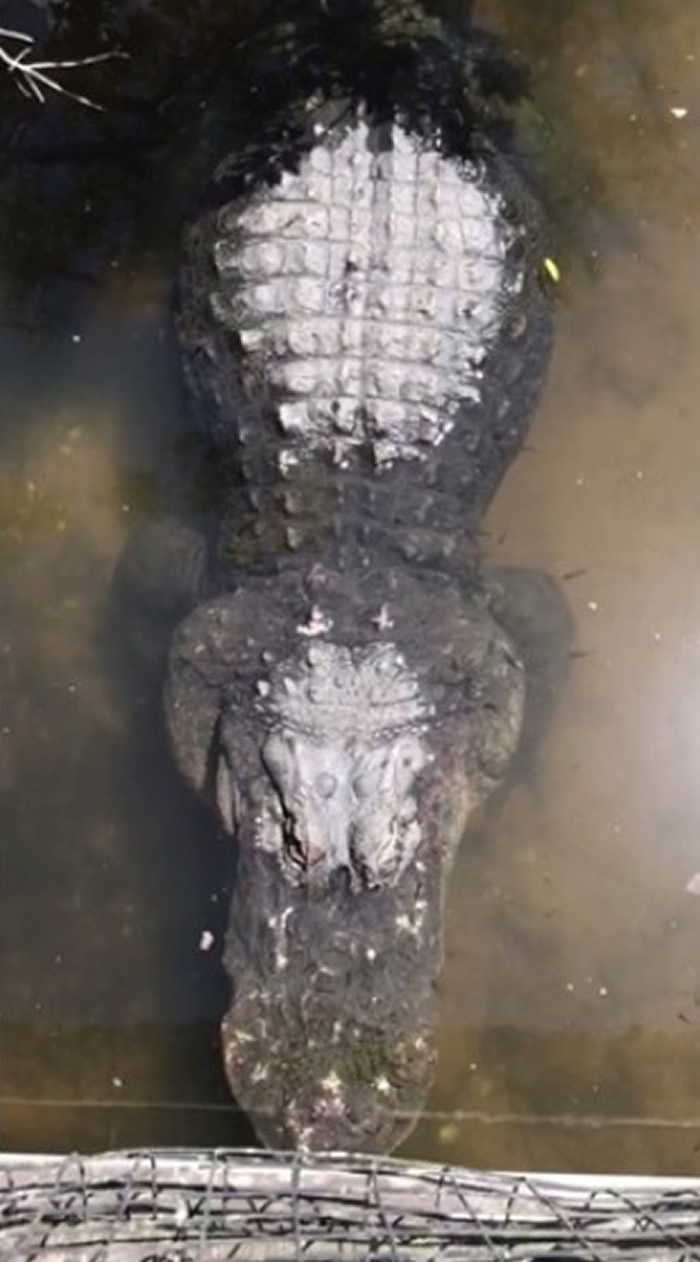 ������������ݸ����桰�������衱����������Ͽ�