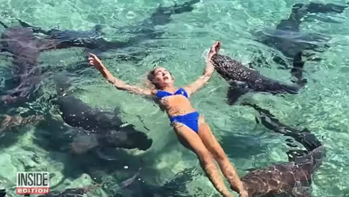 鲨鱼袭击在巴哈马拍摄的美国博主