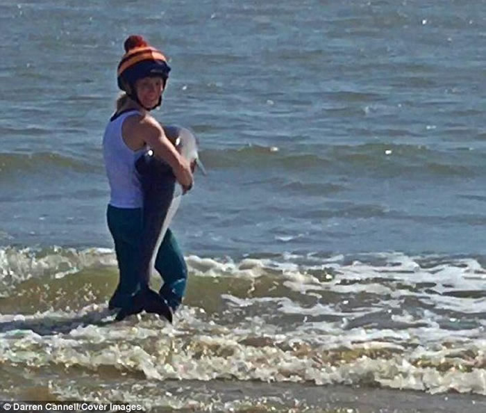 芬兰女子将海滩搁浅海豚宝宝抱起送回海中