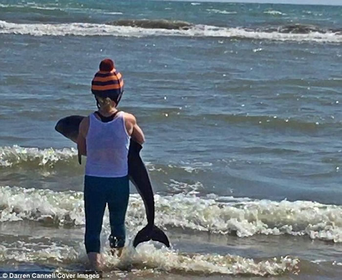 芬兰女子将海滩搁浅海豚宝宝抱起送回海中