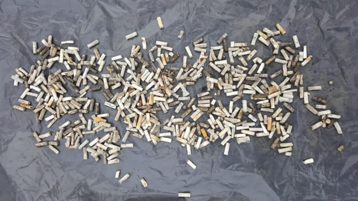 ����Ȧ˹�߰�Ⱥ��С�����ܿ�ʳ��ɫ�ܽ���