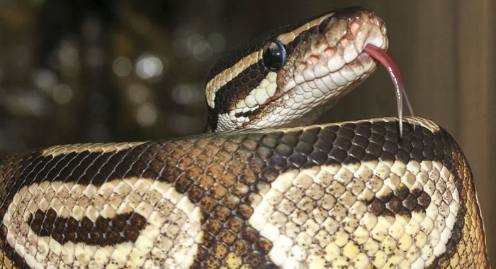 �ڿ���������������·�Ƶ����Ϸ�������