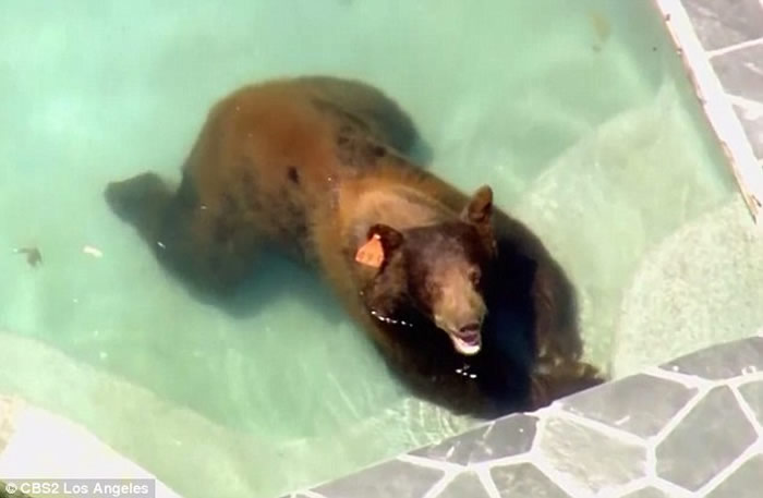 ������ɼ������Ұ�����ܴ����լ��Ӿ����ˮ����