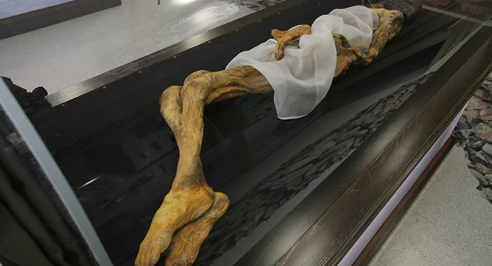 ޹硱ѧʦ˹̩ܿڿ˹ʬ