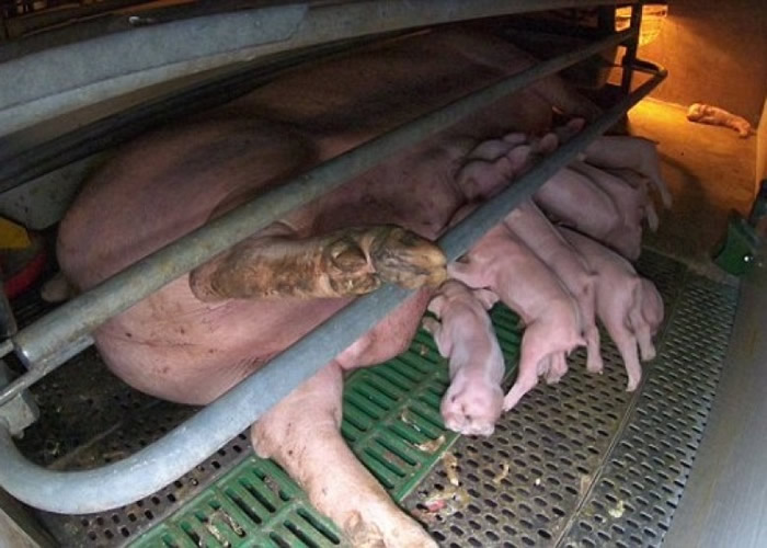 ĸ��˯����С��Χ���ڡ�