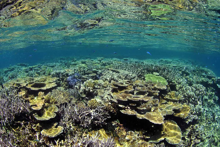 �Ĵ����ǽ���������������ȴ󱤽�