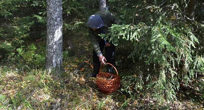 ����˹Զ���������ֿ���������Ͷ�����ҩ������