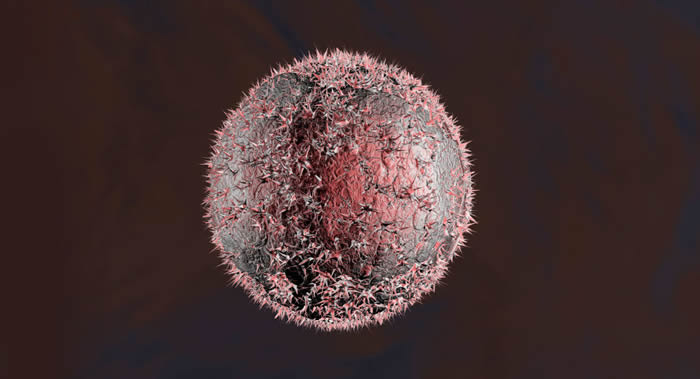 �����ǡ���Ů�������ʽ��֢��Σ�����ء�