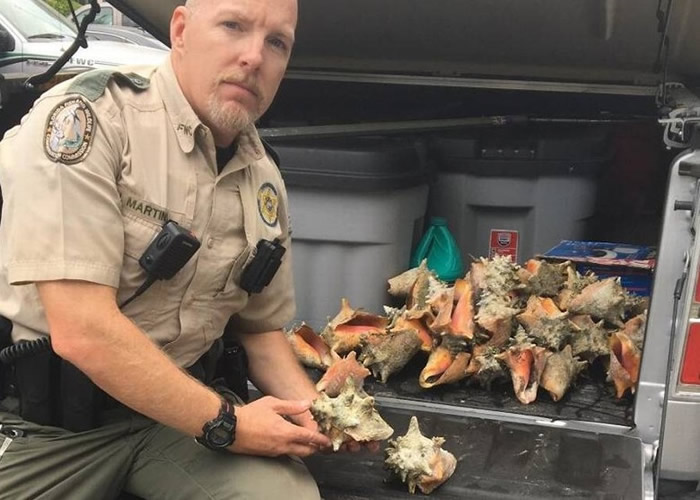 ִ����Ա�����ݷŻغ��С�