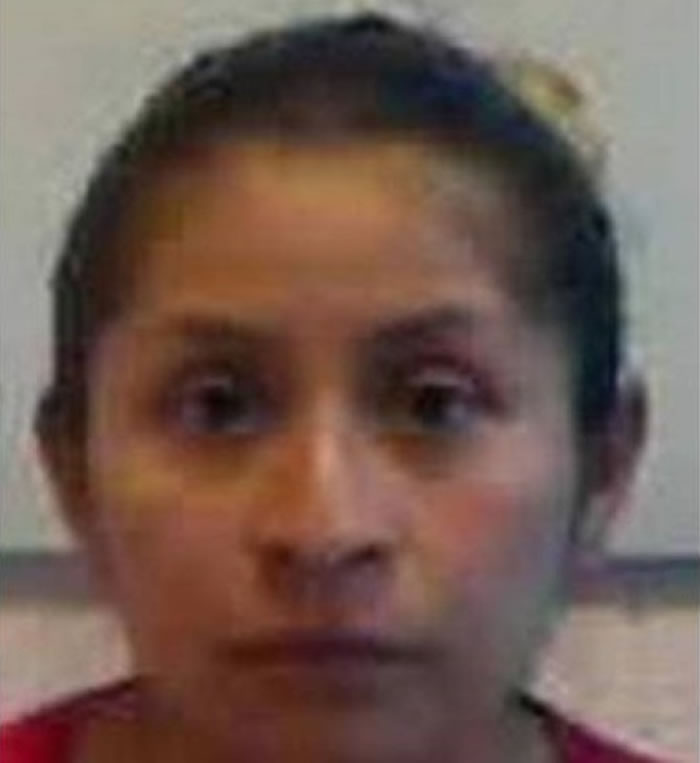 ������˹�򷨹���Ǹ��