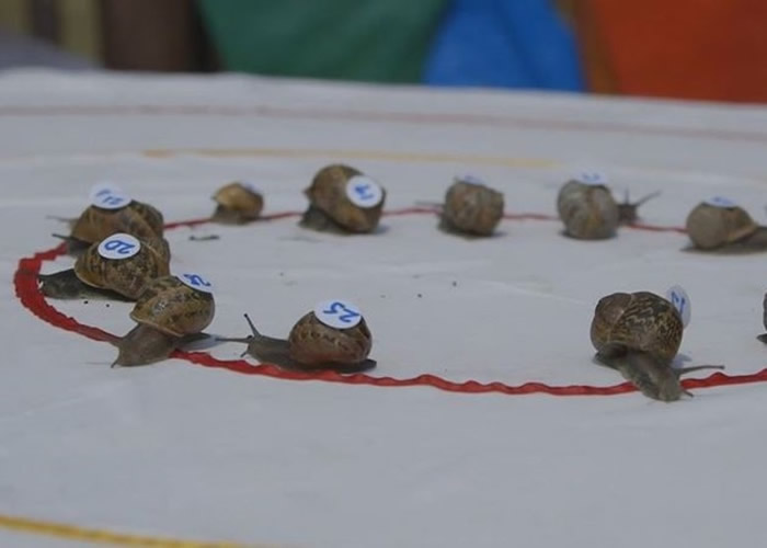 ��ţ���������������ǰ��Ӣ��ŵ���˿����С�