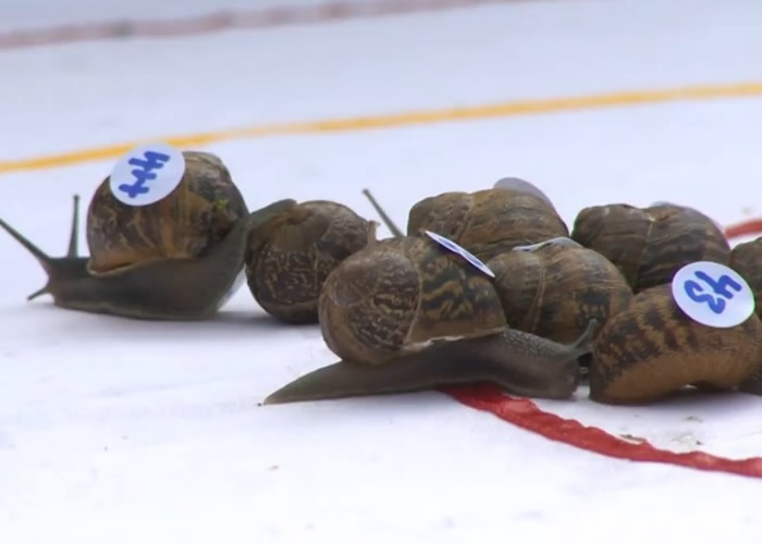 ������ţ�����ܵ�ԲȦ��Χ��