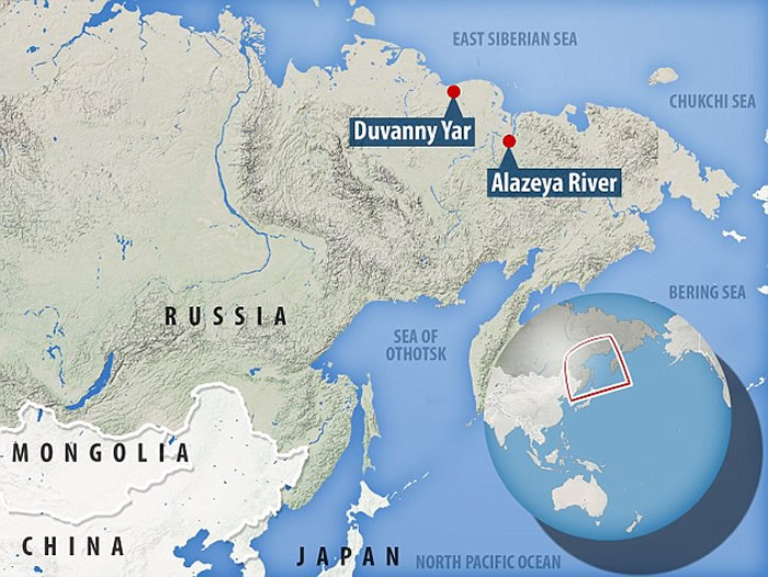 俄罗斯科学家成功让两只冰封沉睡42000年的线虫复活