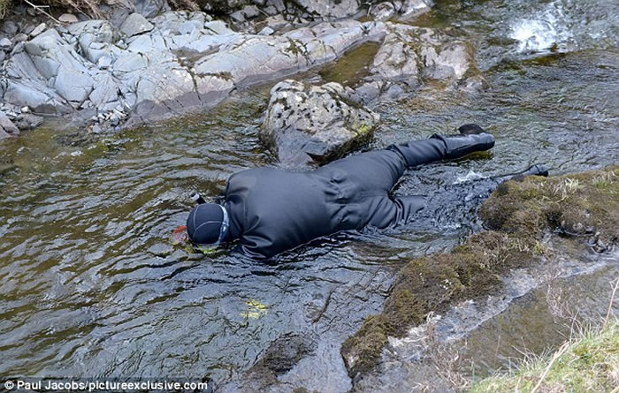 Ѱ��������Ӣ�����з��ָ߶����С�ġ�������˹��顱 ��ֵ5��Ӣ��