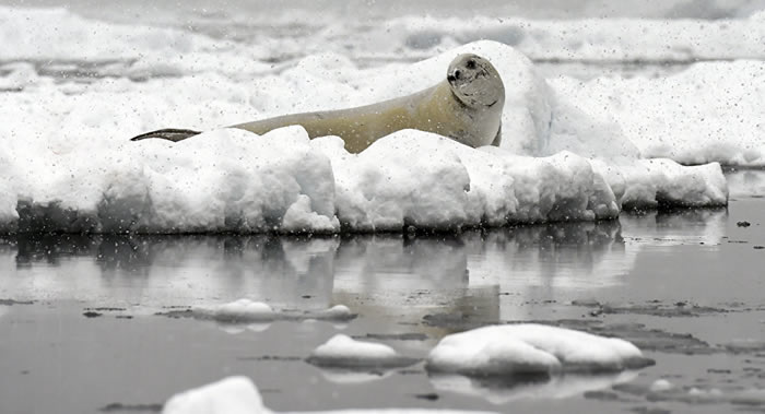 Ȼѧ־ˮдĶ̼ӳ ʹпܴ