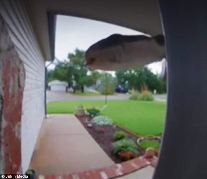 ��������˹��Ů��������������������� ��Ƶ�����һ����Ȼ������ͷ�ġ������ߡ�