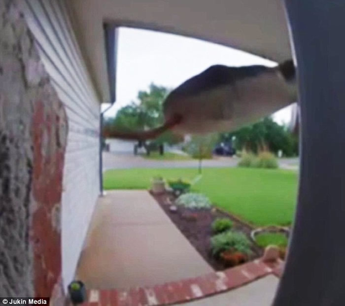 ��������˹��Ů��������������������� ��Ƶ�����һ����Ȼ������ͷ�ġ������ߡ�