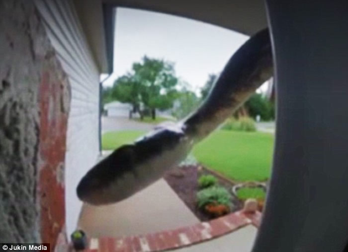 ��������˹��Ů��������������������� ��Ƶ�����һ����Ȼ������ͷ�ġ������ߡ�