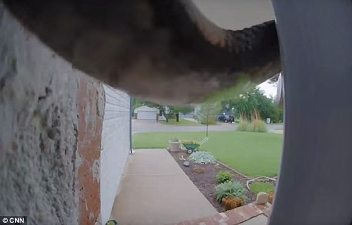 ��������˹��Ů��������������������� ��Ƶ�����һ����Ȼ������ͷ�ġ������ߡ�